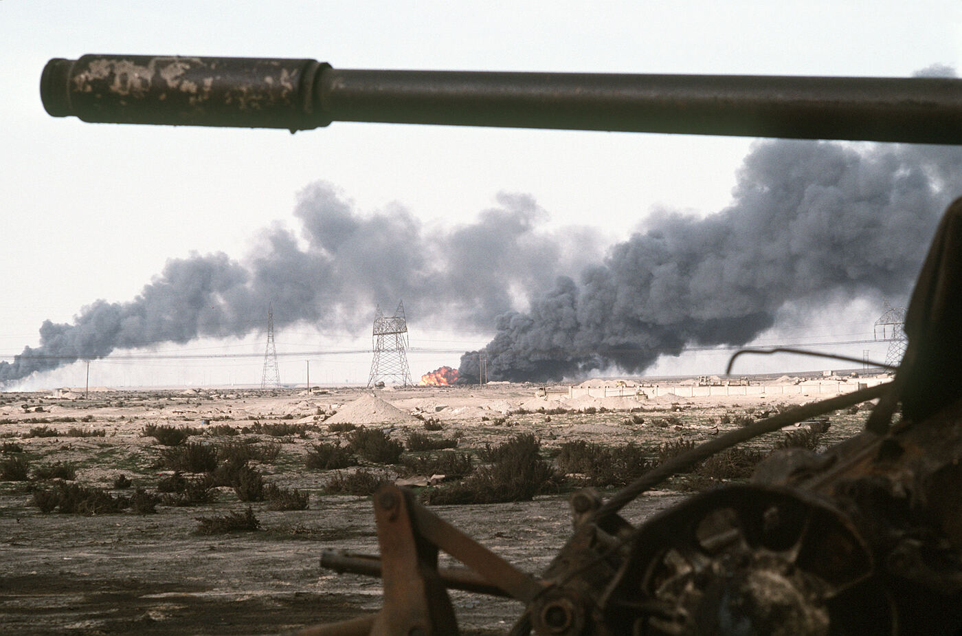Gulf War Illness: Three Decades of Unanswered Questions